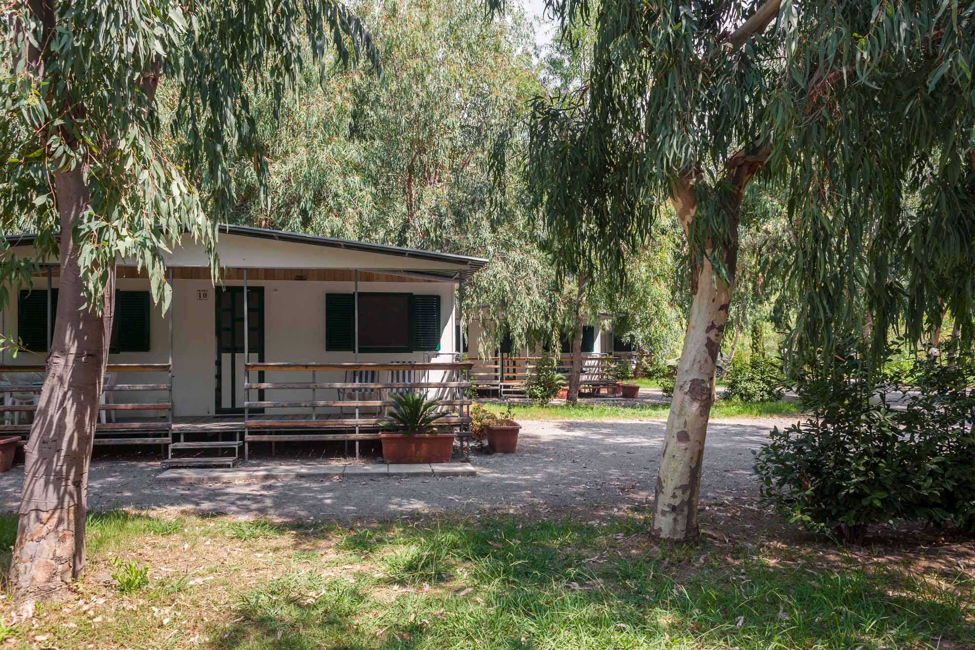 Mara Ranch — photo 2